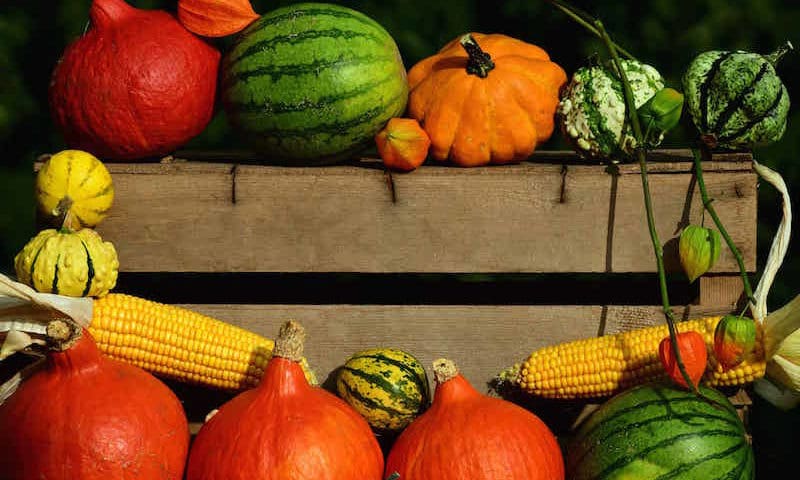 Organic produce sector worth more than £2.2bn