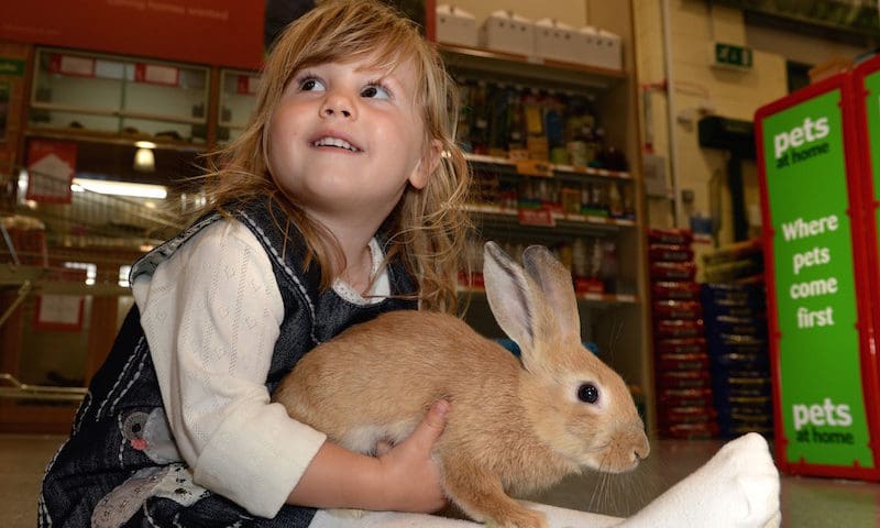 Pets at Home stops Easter rabbit sales