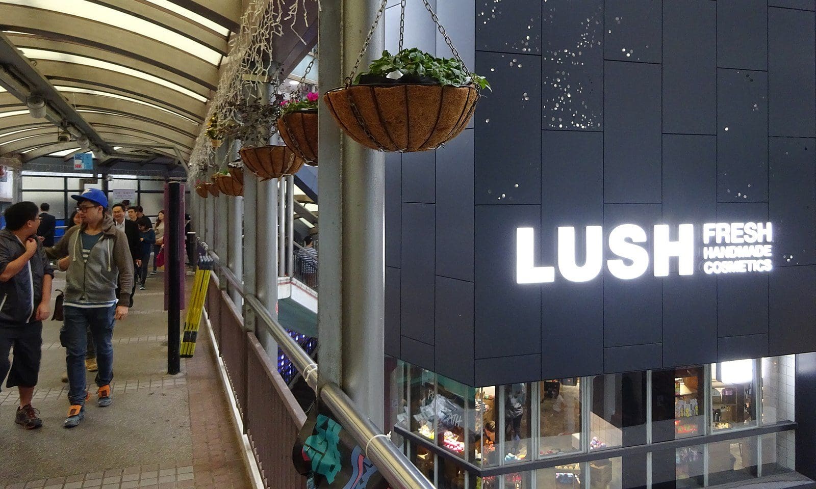 Lush CEO blames govt for high street decline