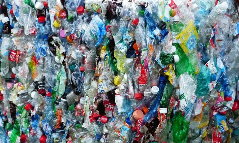 Retailers ‘trying to water down’ bottle deposit scheme