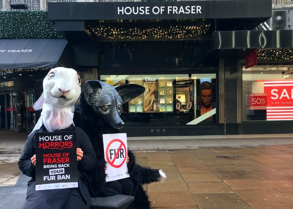 PETA buys Frasers Group stake amid anti-fur protests