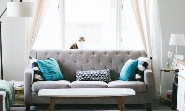 ScS appoints new CEO as trading remains steady