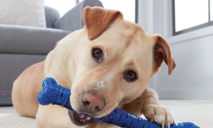 JML appoints two new directors to board