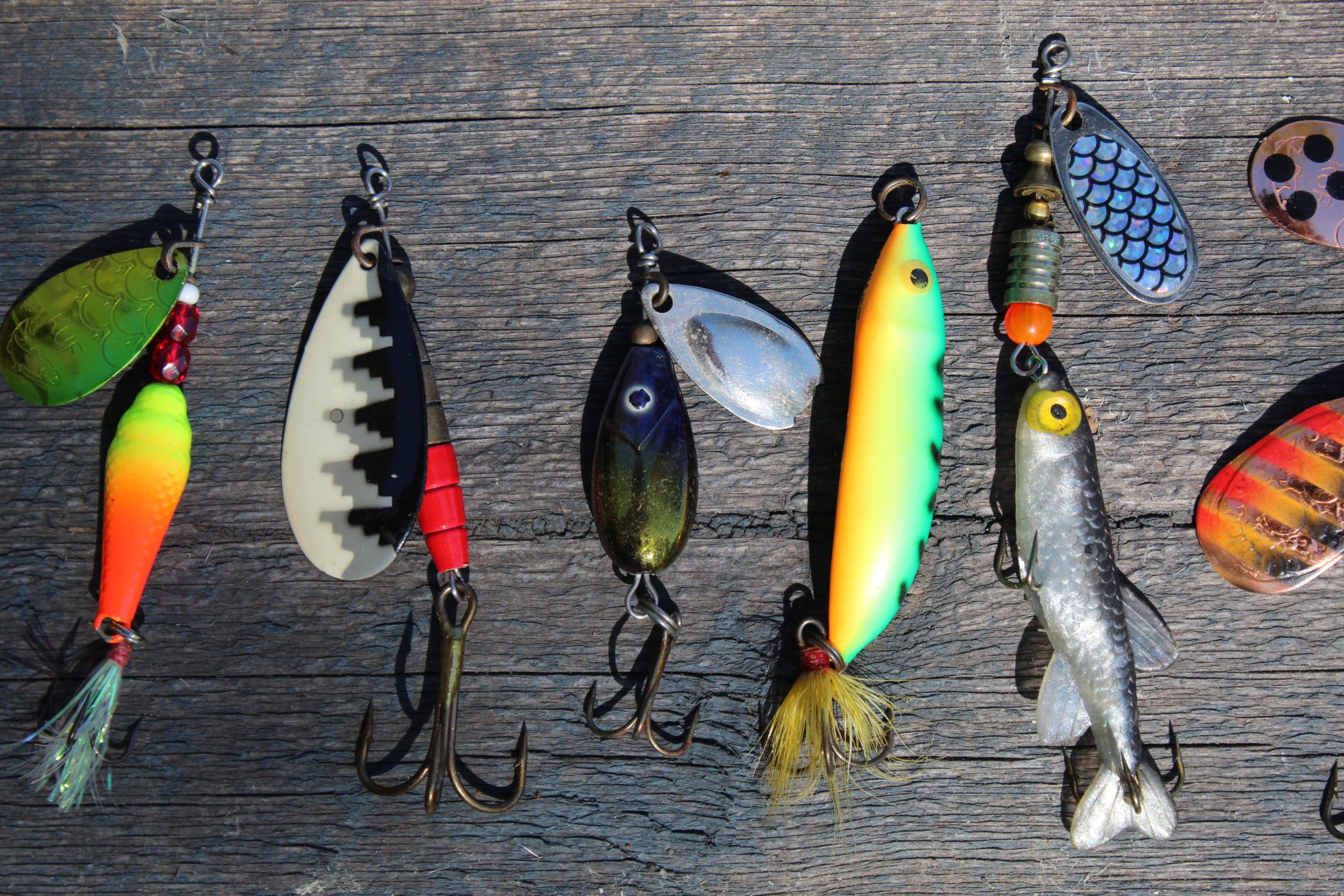 Angling Direct revenues see uptick in FY23